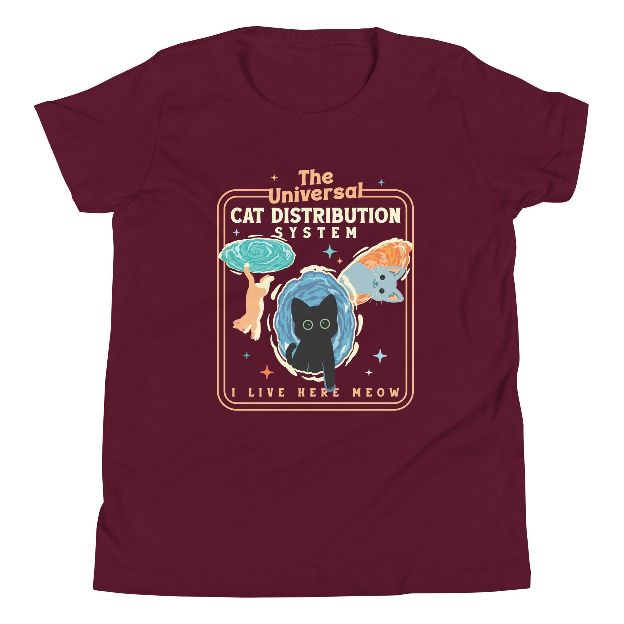 The Universal Cat Distribution System Kid's Youth Tee Hoodie, Sweatshirt | CoreVibeTees.com (Image 3)
