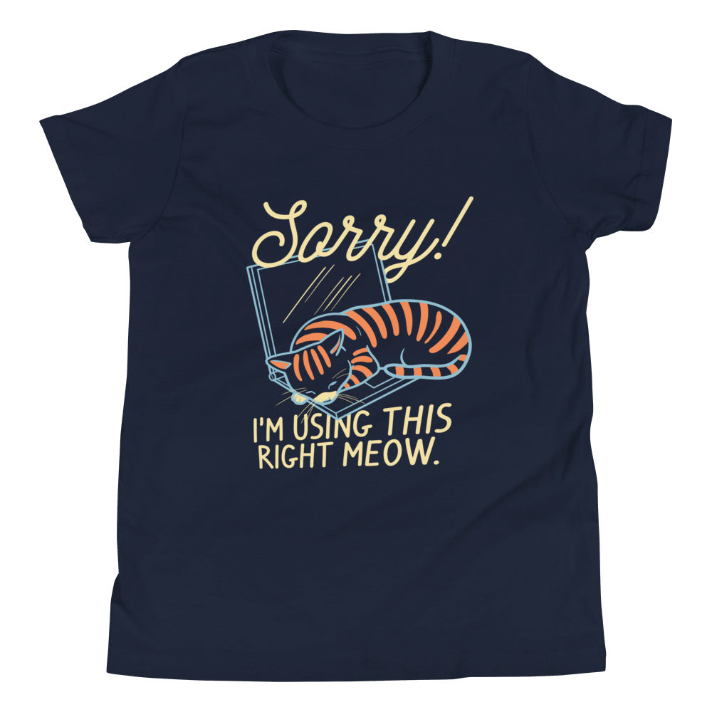 Sorry! I'm Using This Right Meow Kid's Youth Tee Hoodie, Sweatshirt | CoreVibeTees.com (Image 1)
