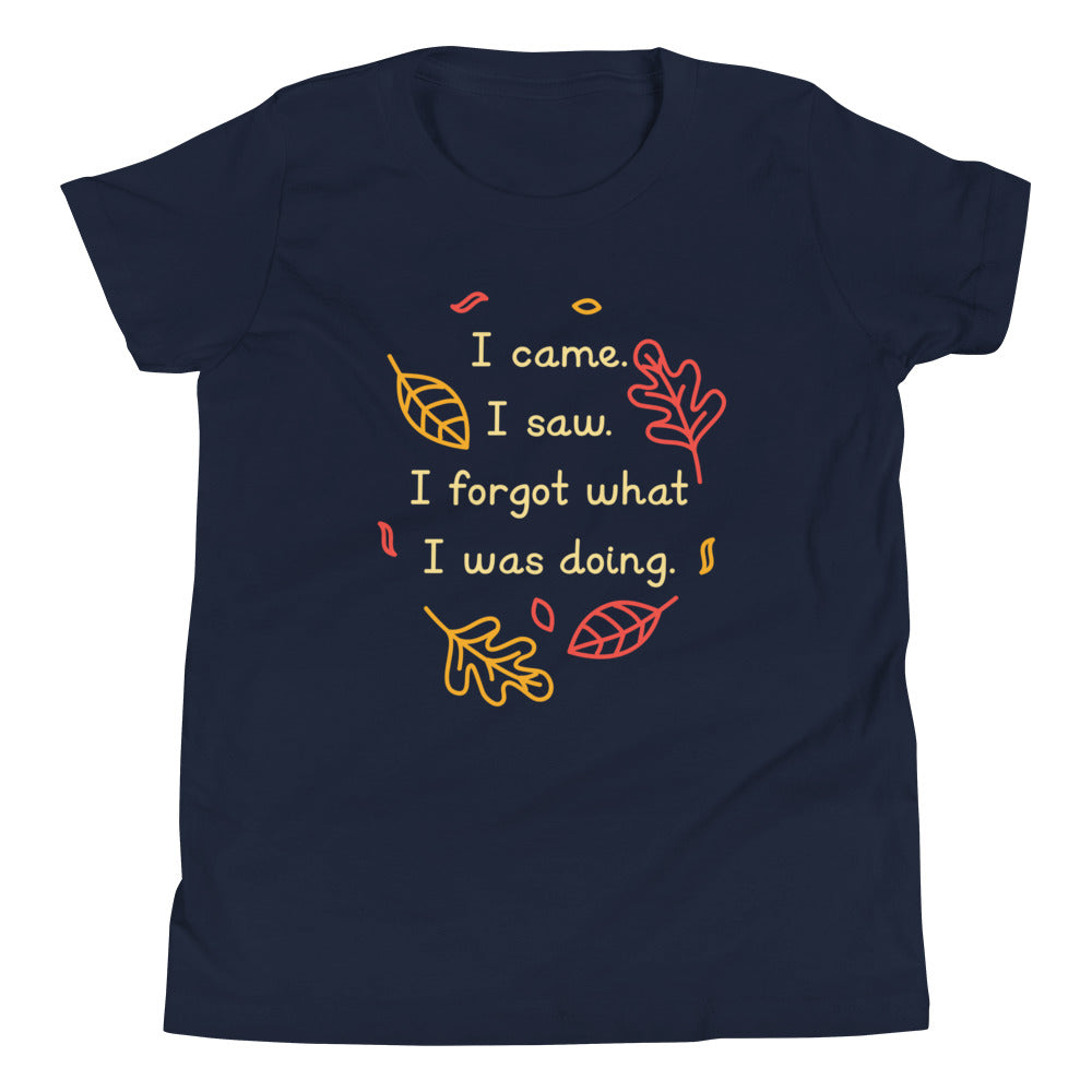I Came. I Saw. I Forgot What I Was Doing. Kid's Youth Tee Hoodie, Sweatshirt | CoreVibeTees.com (Image 1)