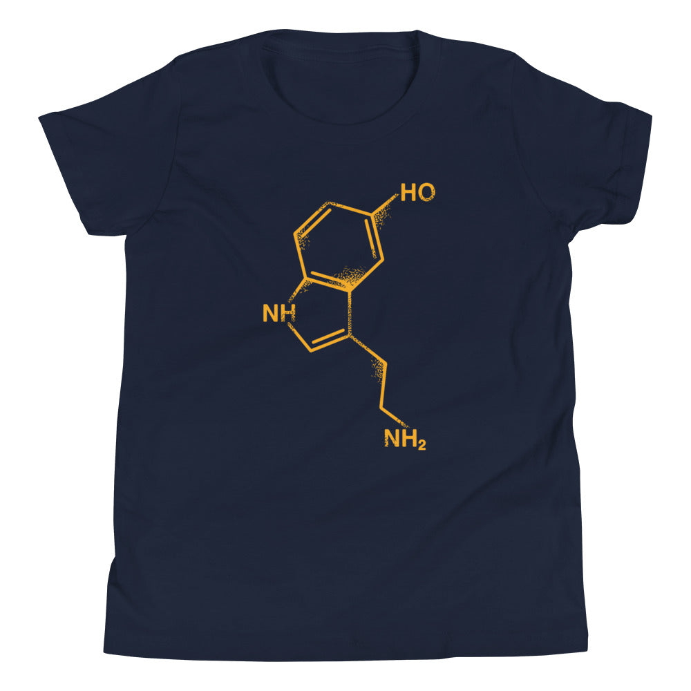 Serotonin Kid's Youth Tee Hoodie, Sweatshirt | CoreVibeTees.com (Image 1)