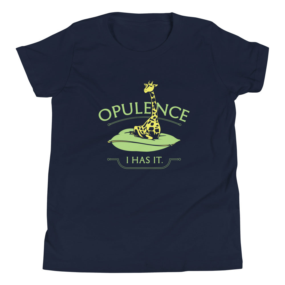 Opulence, I Has It. Kid's Youth Tee Hoodie, Sweatshirt | CoreVibeTees.com (Image 1)