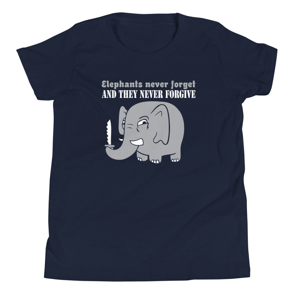 Elephants Never Forgive Kid's Youth Tee Hoodie, Sweatshirt | CoreVibeTees.com (Image 1)