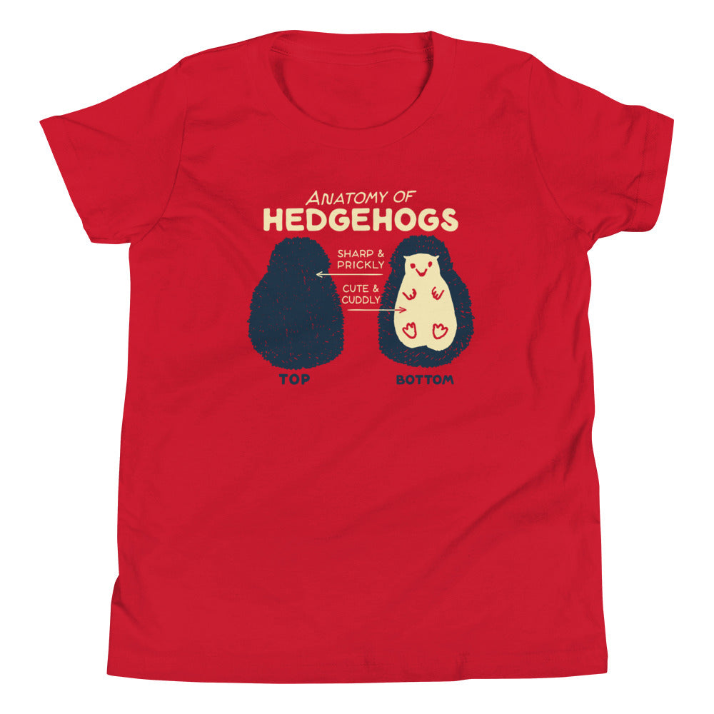 Anatomy Of Hedgehogs Kid's Youth Tee Hoodie, Sweatshirt | CoreVibeTees.com (Image 1)