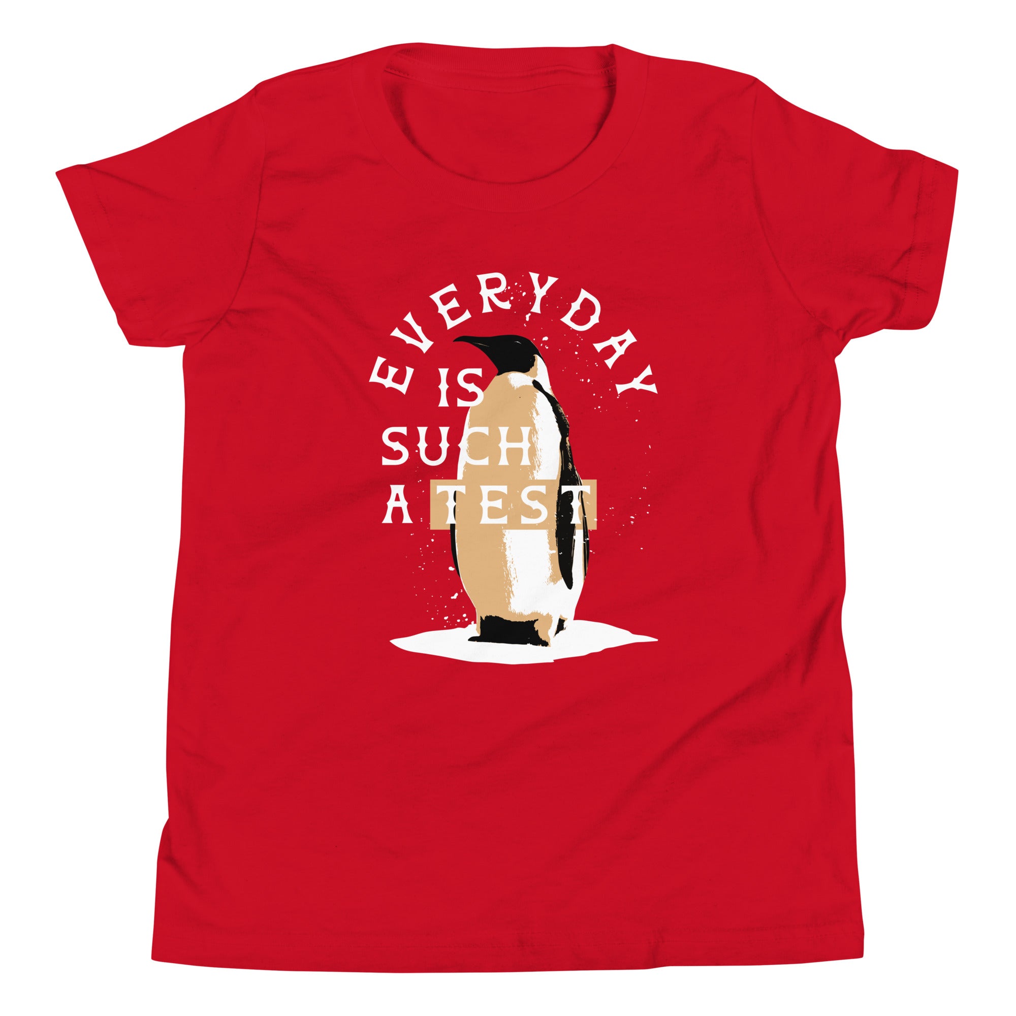 Everyday Is Such A Test Kid's Youth Tee Hoodie, Sweatshirt | CoreVibeTees.com (Image 2)
