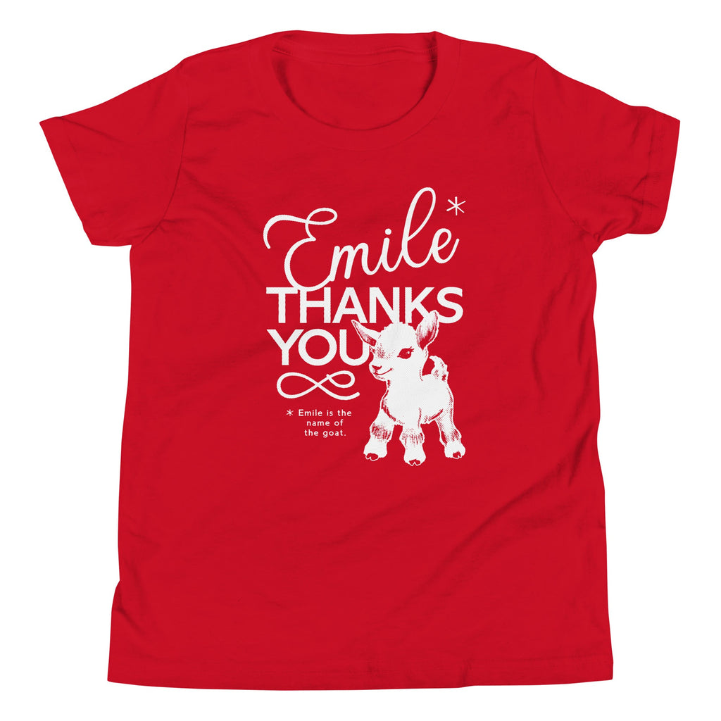 Emile Thanks You Kid's Youth Tee Hoodie, Sweatshirt | CoreVibeTees.com (Image 4)
