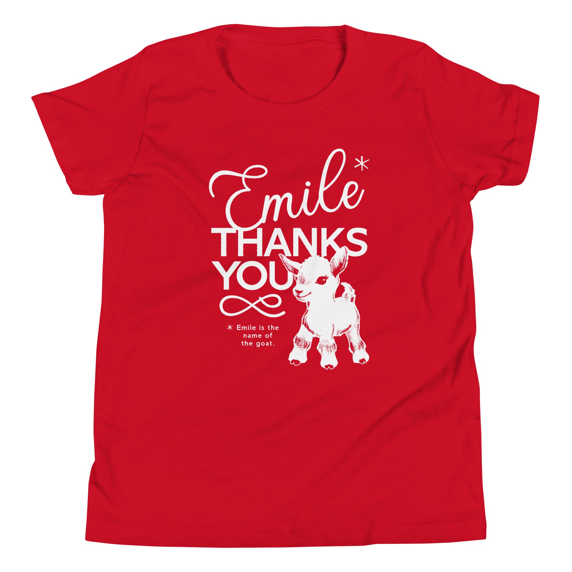 Emile Thanks You Kid's Youth Tee Hoodie, Sweatshirt | CoreVibeTees.com (Image 4)