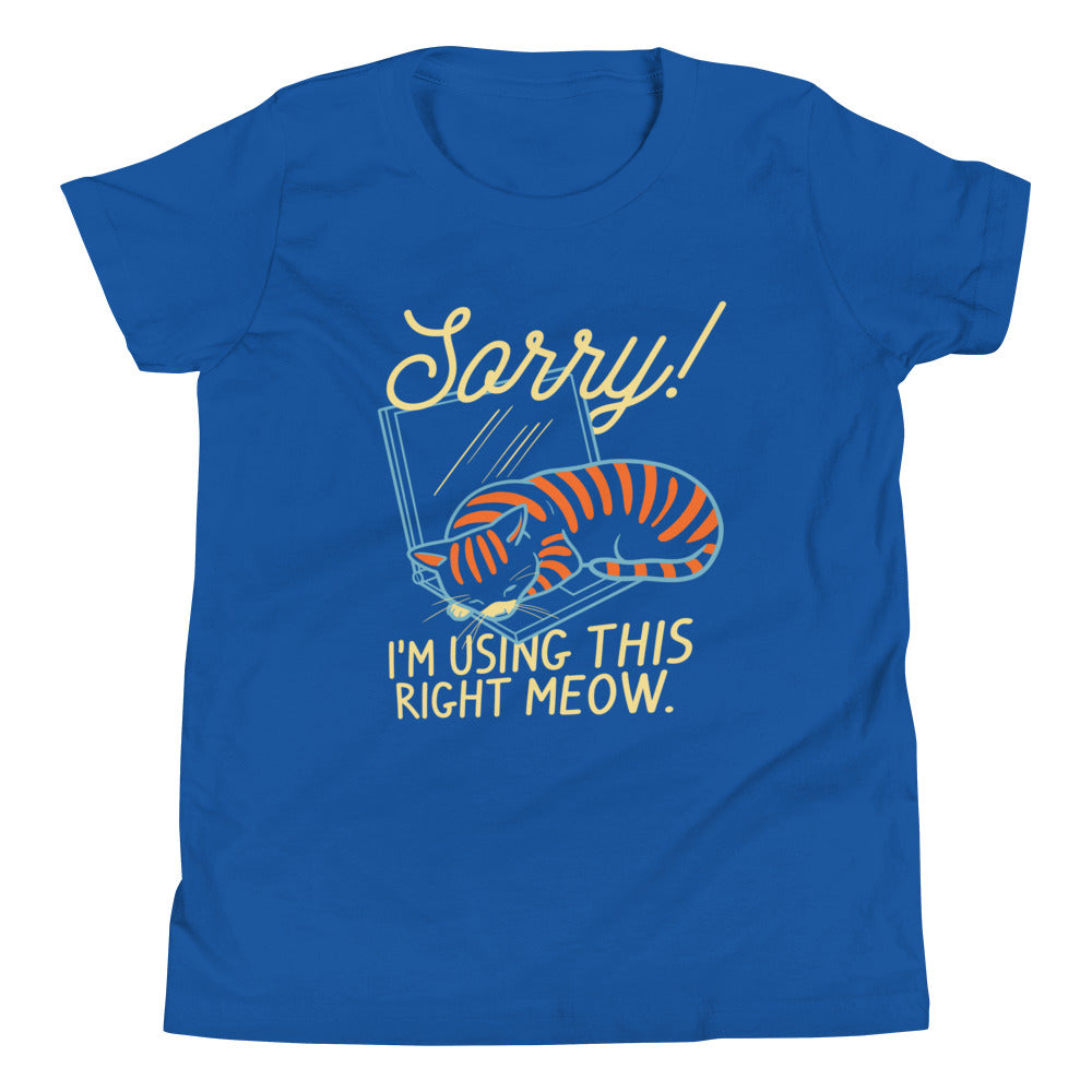 Sorry! I'm Using This Right Meow Kid's Youth Tee Hoodie, Sweatshirt | CoreVibeTees.com (Image 4)