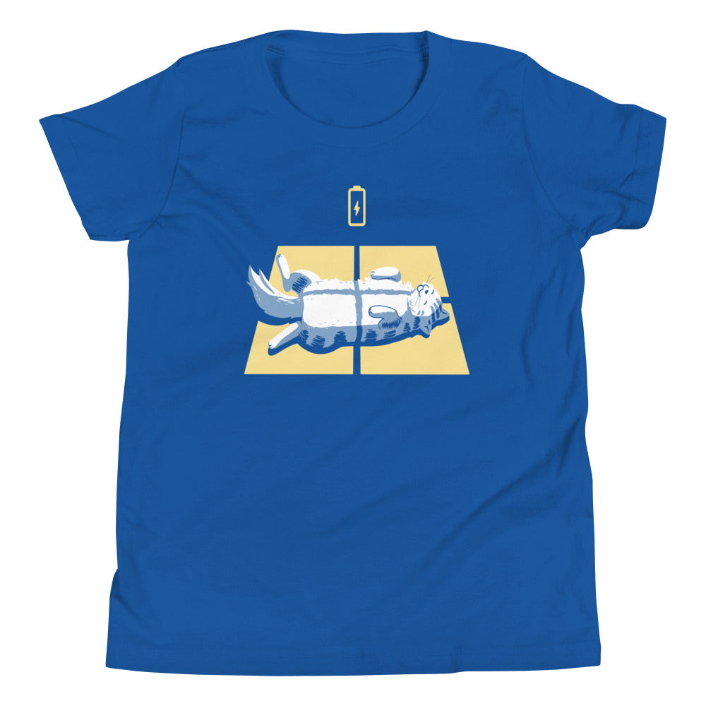 Solar Charging Kid's Youth Tee Hoodie, Sweatshirt | CoreVibeTees.com (Image 4)