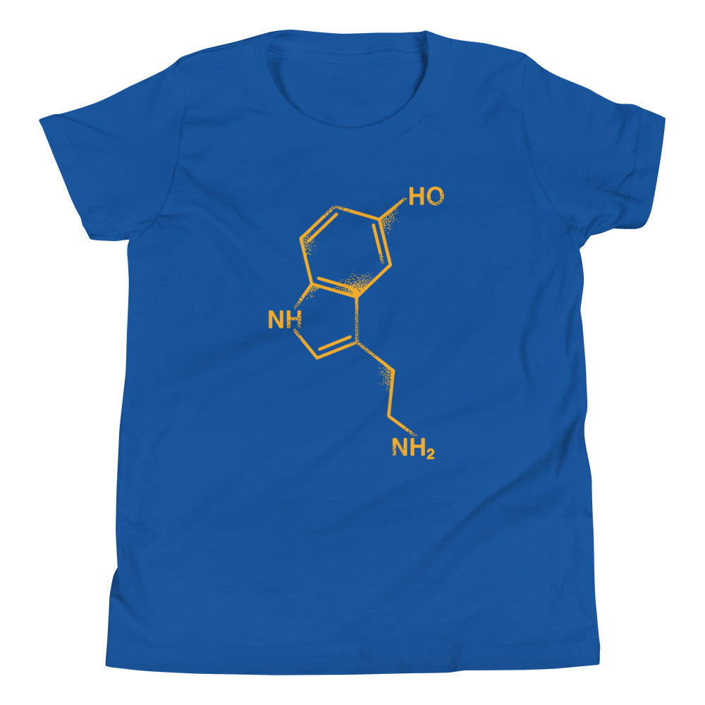 Serotonin Kid's Youth Tee Hoodie, Sweatshirt | CoreVibeTees.com (Image 4)
