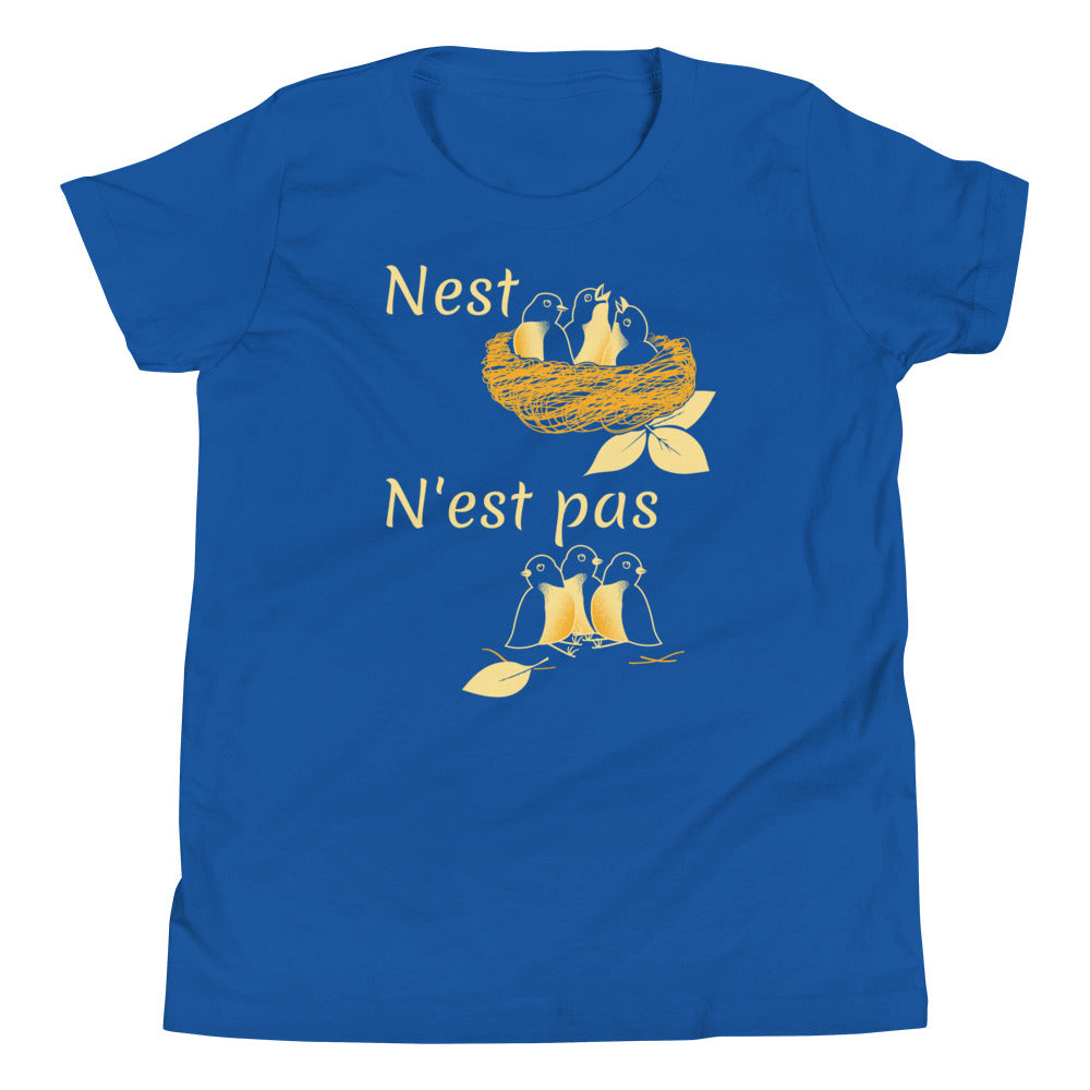 Nest N'est Pas Kid's Youth Tee Hoodie, Sweatshirt | CoreVibeTees.com (Image 1)