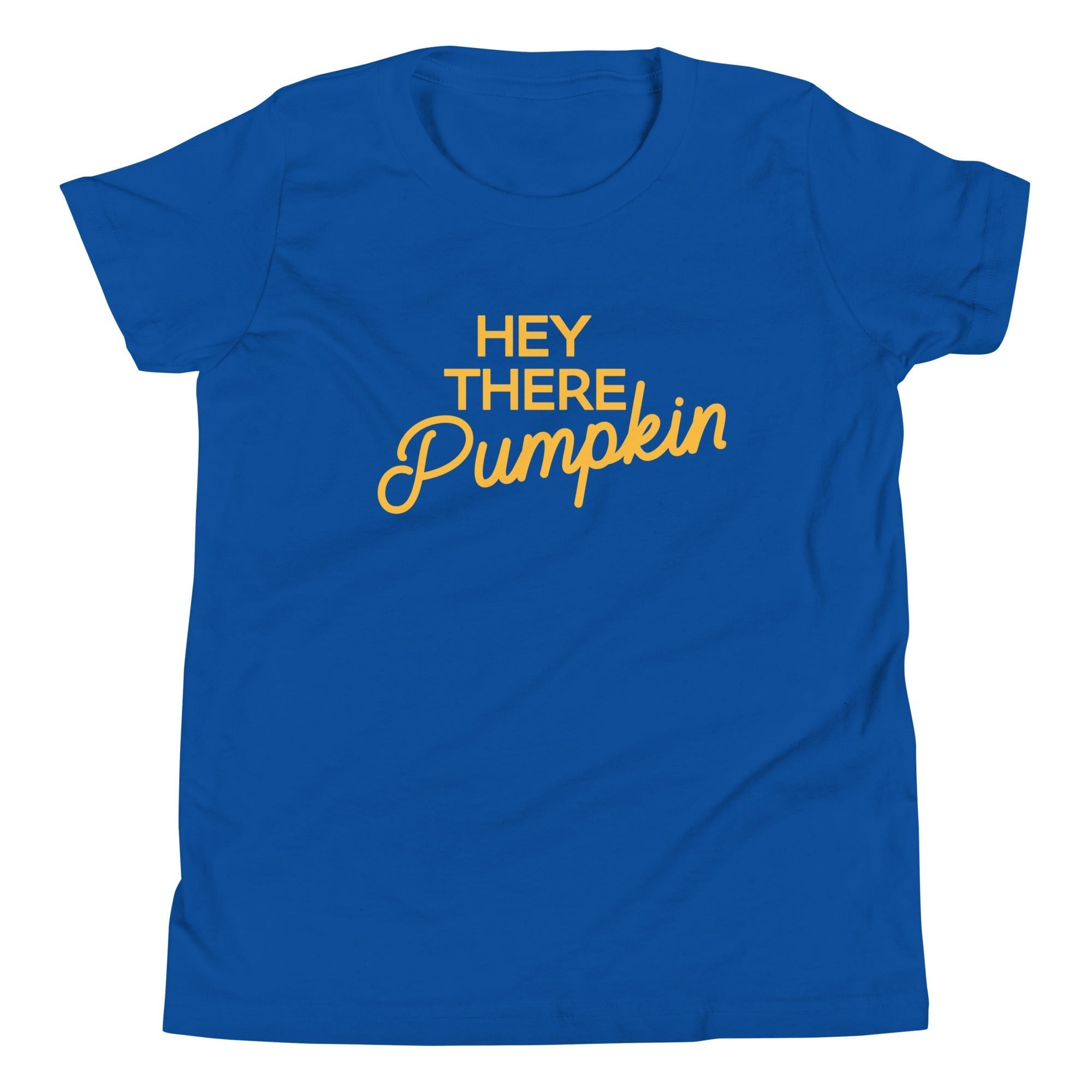 Hey There Pumpkin Kid's Youth Tee Hoodie, Sweatshirt | CoreVibeTees.com (Image 4)