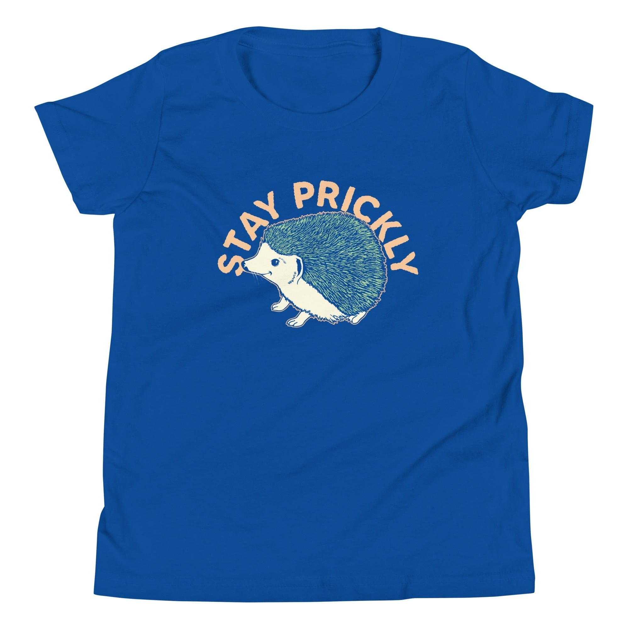 Stay Prickly Kid's Youth Tee Hoodie, Sweatshirt | CoreVibeTees.com (Image 5)