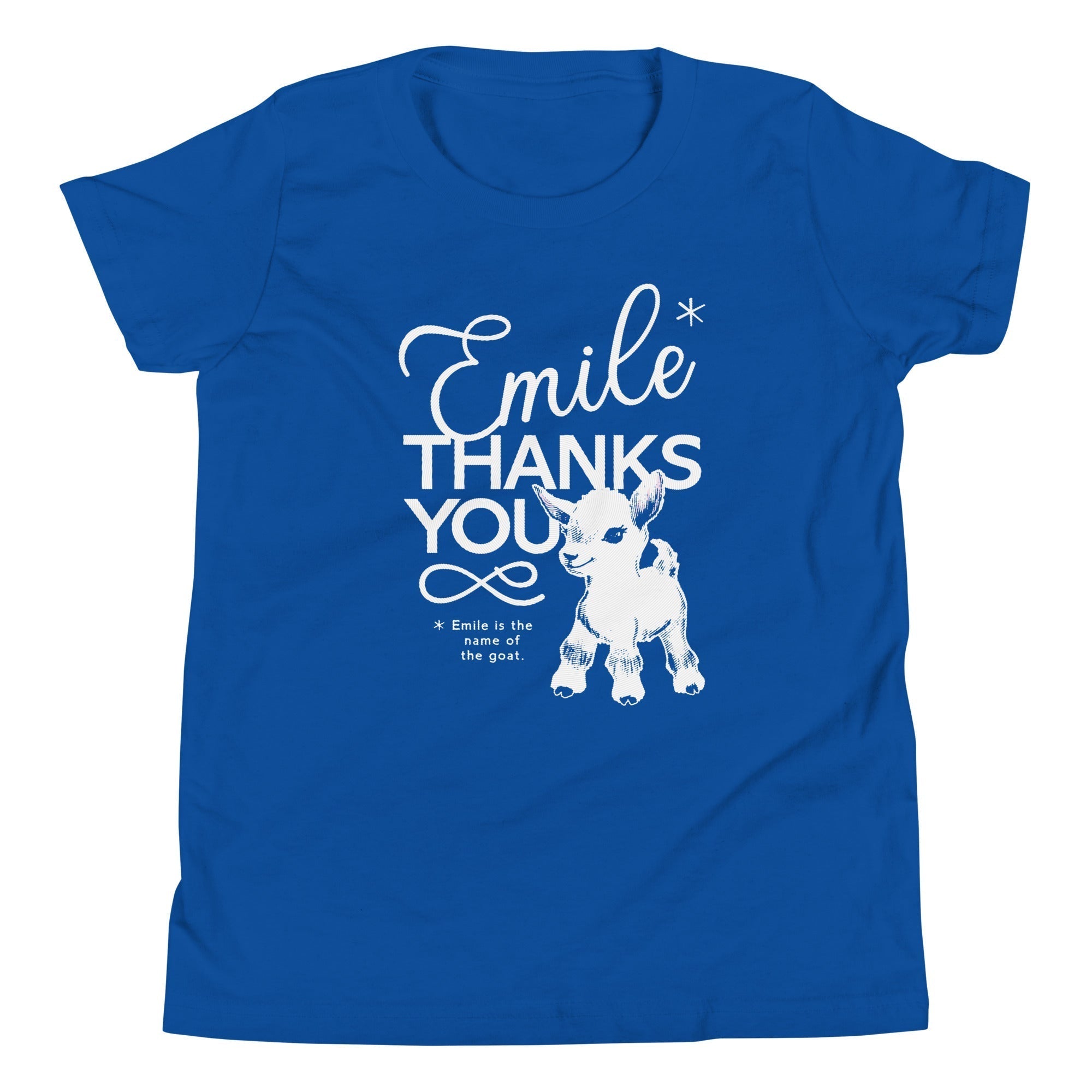 Emile Thanks You Kid's Youth Tee Hoodie, Sweatshirt | CoreVibeTees.com (Image 5)