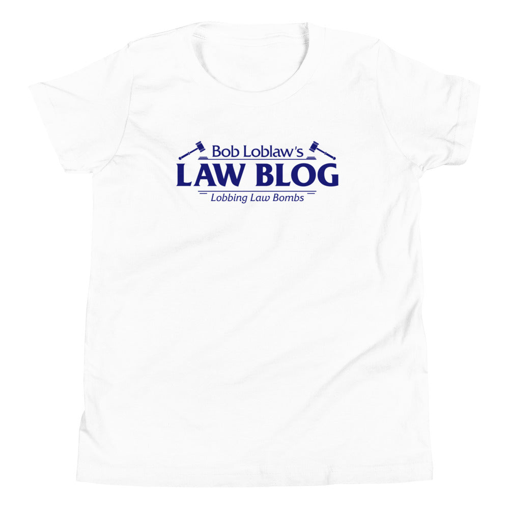 Bob Loblaw's Law Blog Kid's Youth Tee Hoodie, Sweatshirt | CoreVibeTees.com (Image 3)